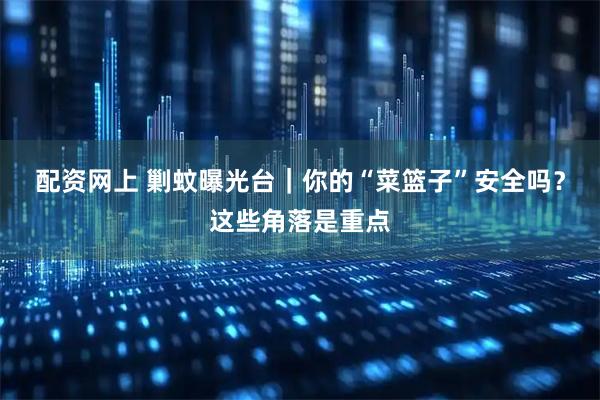 配资网上 剿蚊曝光台｜你的“菜篮子”安全吗？这些角落是重点