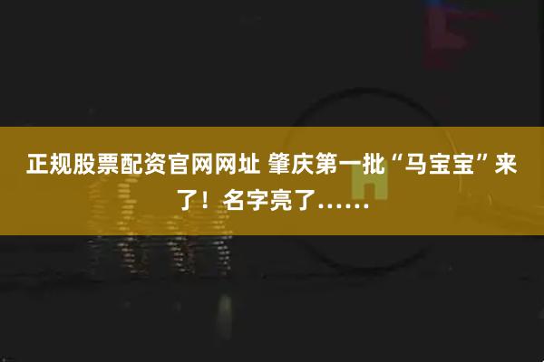 正规股票配资官网网址 肇庆第一批“马宝宝”来了!名字亮了……