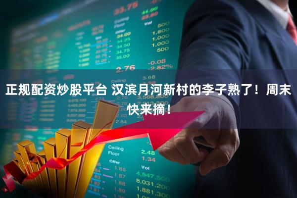 正规配资炒股平台 汉滨月河新村的李子熟了！周末快来摘！